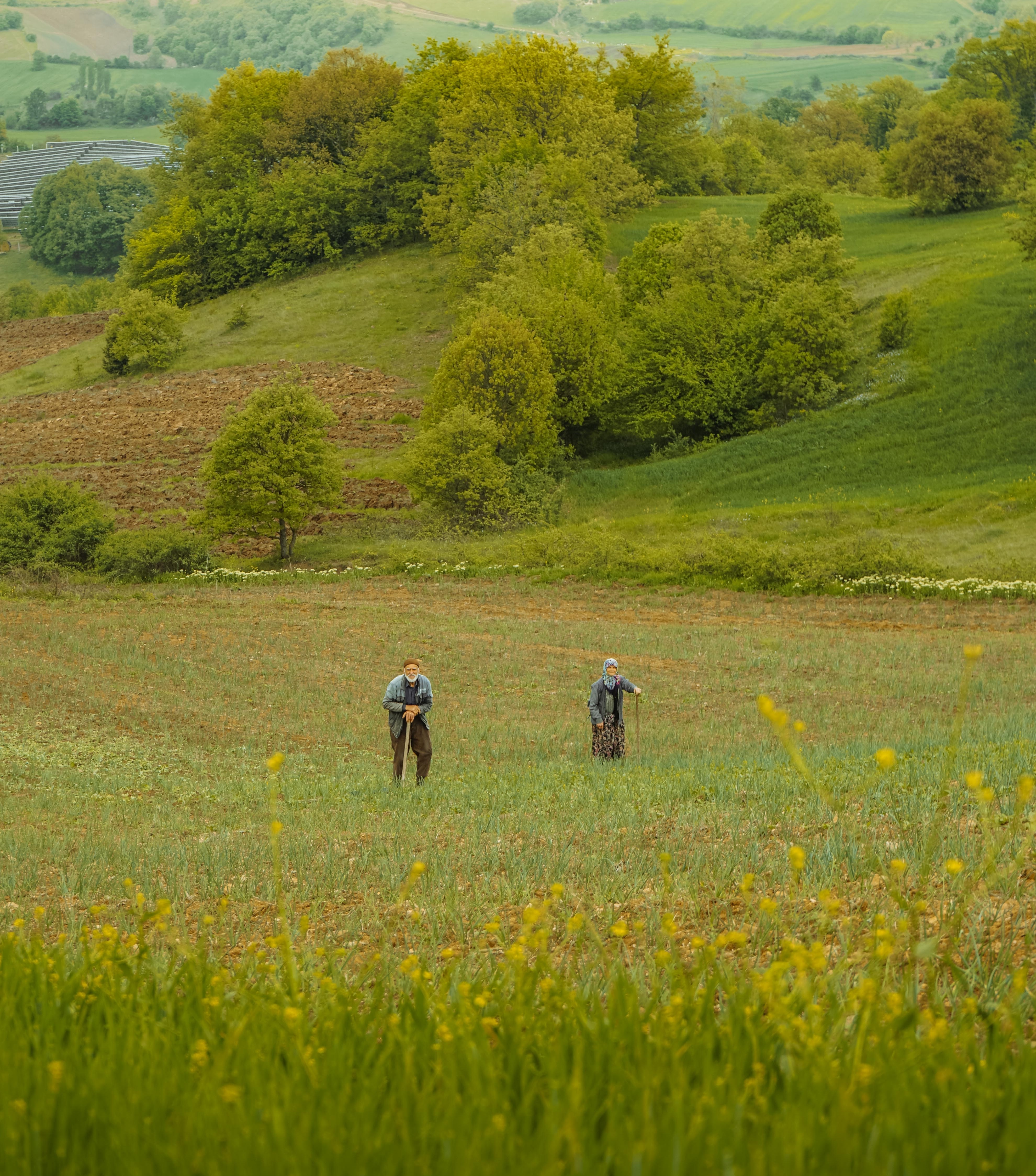 avocat bail rural en champagne ardenne